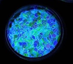  "BEYOND WONDERLAND" *UV*/BlackLight* Festival FunFetti