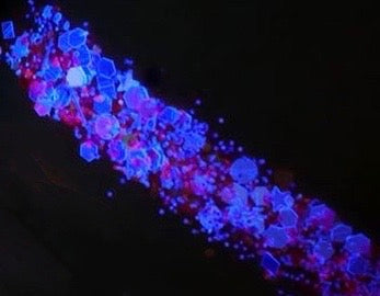  "EDC FANTASEA" *UV/BlackLight* Festival FunFetti